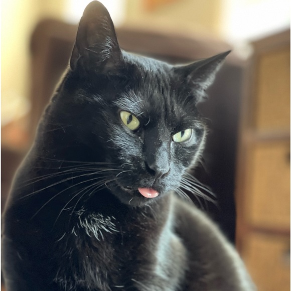 Meet your Posher, Jen - Picture 8 of 14